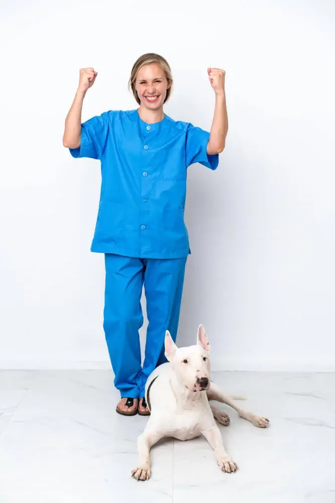 Ezüstkolloid kutyáknak_állatorvosok ajánlásával