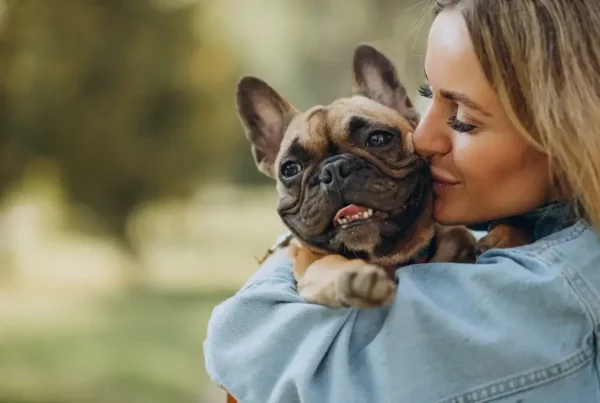 Pure Gold Pet a kutyák hosszútávú egészségéért