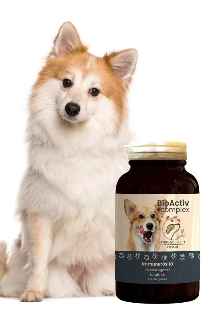 Pure Gold Pet Bioactiv complex vitaminkészítmény kutyáknak